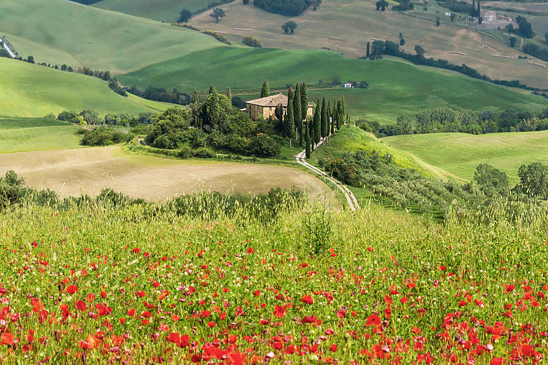 Wedding in Tuscany in Val d Orcia, wedding photographer in Tuscany title=