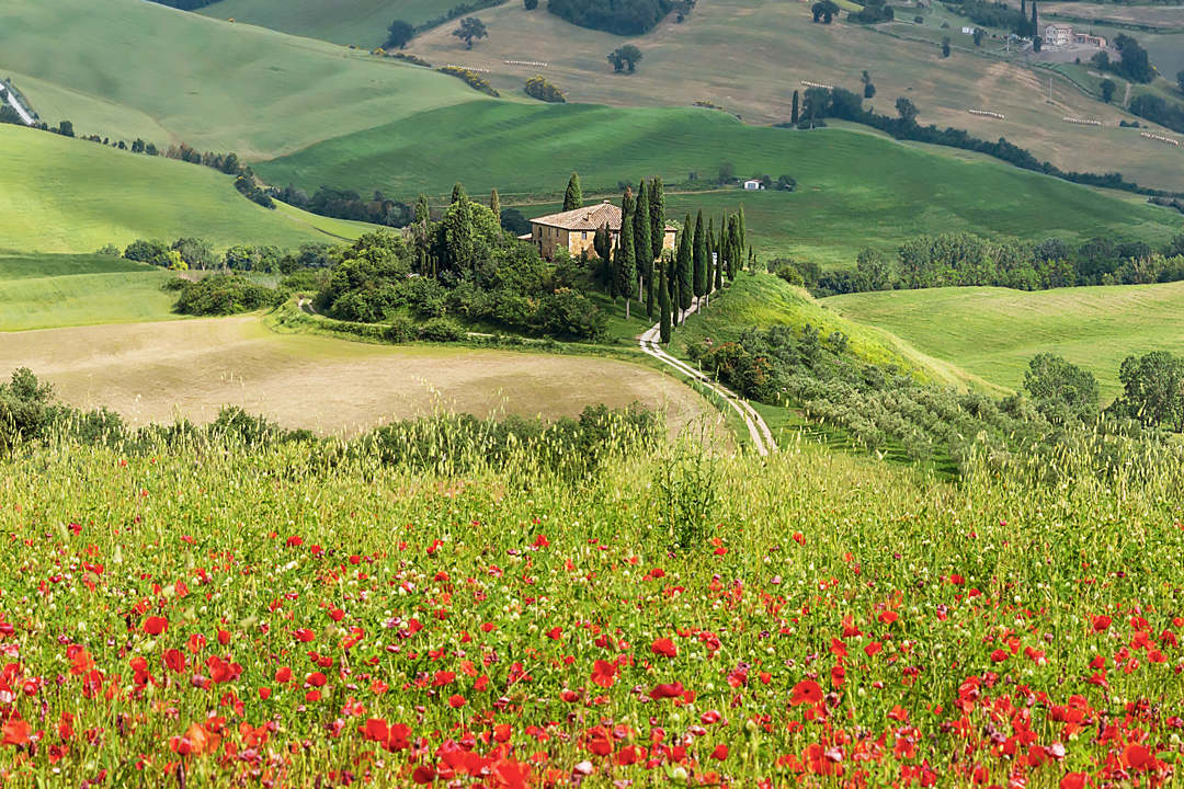 wedding-in-tuscany-in-val-d-orcia-wedding-photographer-in-tuscany